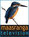 মাছরাঙা টেলিভিশন Maasranga TV logo
